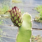 Bild 9 von 11