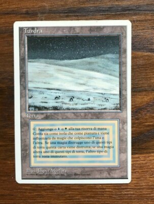 Tundra - FWB Italian Edition 1995 - Magic the Gathering MTG Sammelkarte