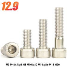 Nickel Plated Cap Screws Hexagon Socket Head Allen Key Bolts High Tensile 12.9