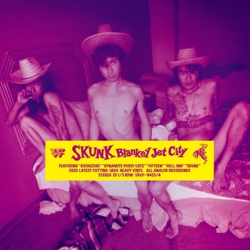 Одеяло Jet City/Skunk (2 л/180 г) UPJY9453 New LP