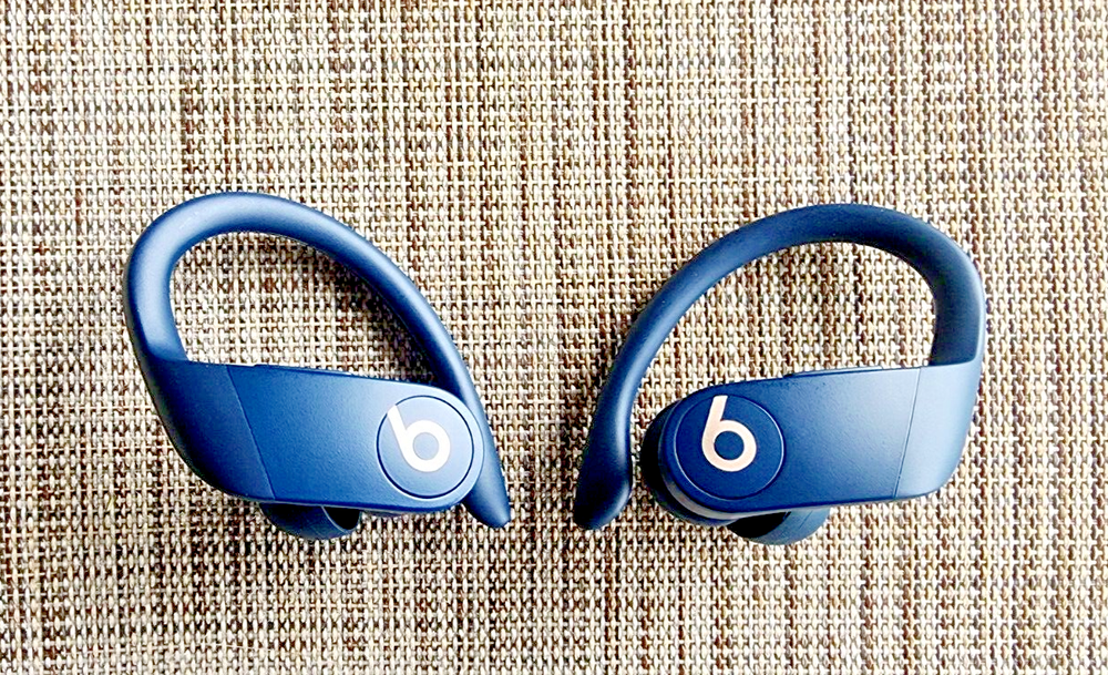 Beats by Dr. Dre Powerbeats Pro In Ear Wireless Headphones - Blue