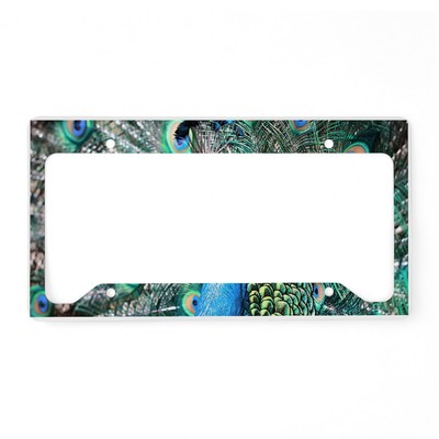 CafePress Beautiful Peacock License Plate Holder License Frame (1304330403)