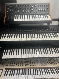 Arturia PolyBrute 12 mit OVP Poly Brute 12 Absolut Neuwertig