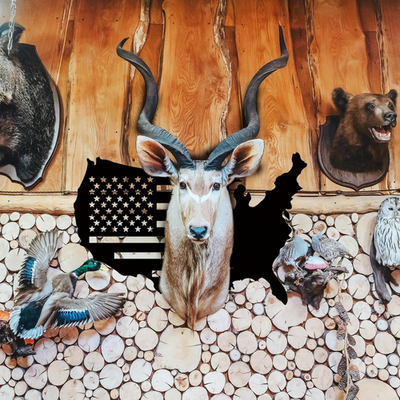 #ad #ad 2 Set Deer Skull Mount Flag Skull Mount Hanger European Deer Plaque Hanger Ki... $34.62