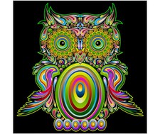 Bunte Eule Diamant Mosaik Malset 40 x 30 cm