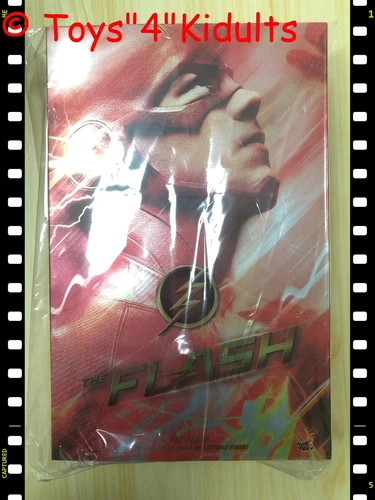 Hot Toys TMS 009 The Flash TV 1/6 Action Figure NEW