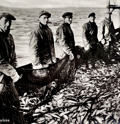 Slide Fishing In Norway Photograph Norwegian Folk Life c1900-1920s Nautical E9