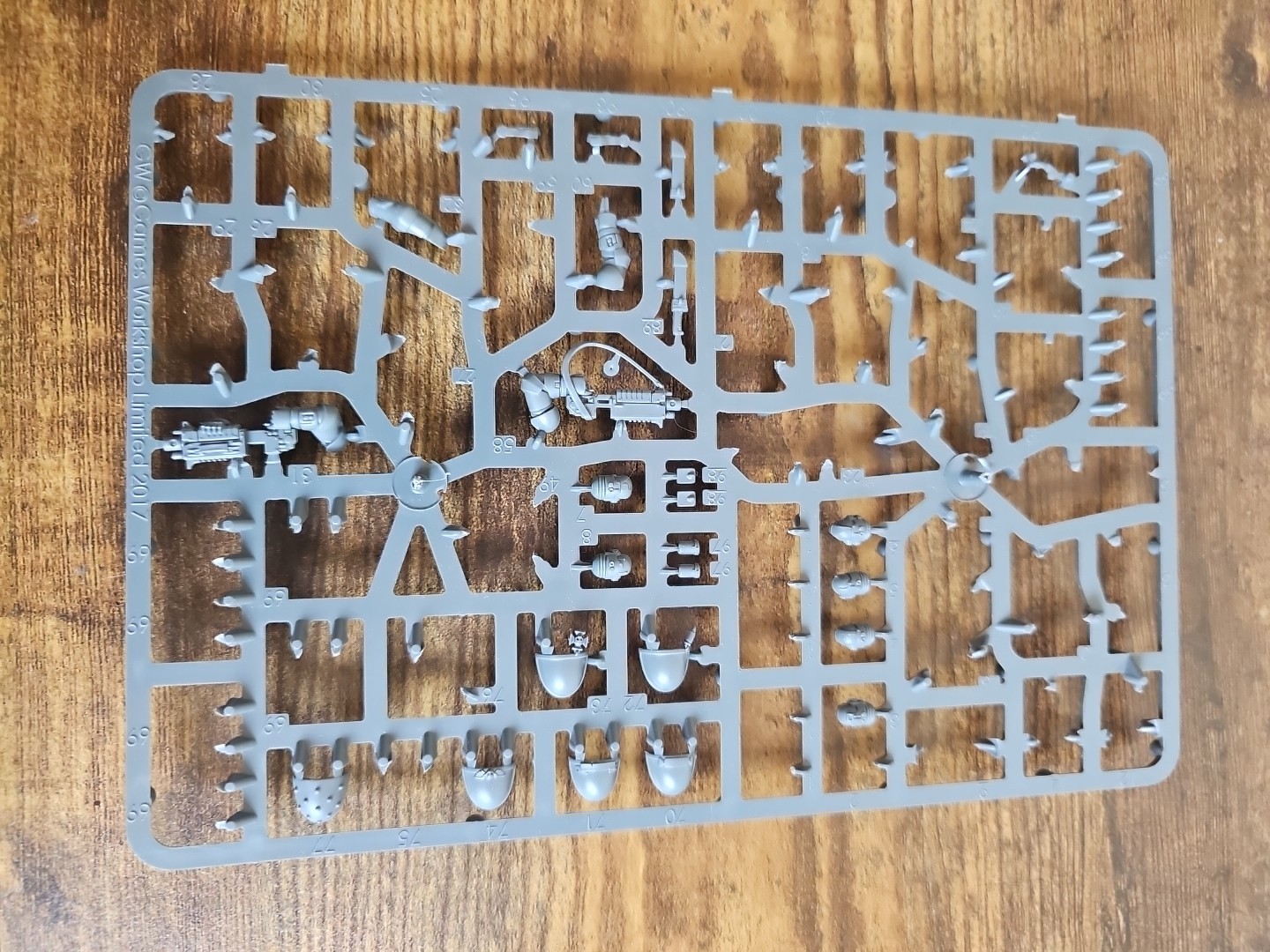 Picture 6 of 6