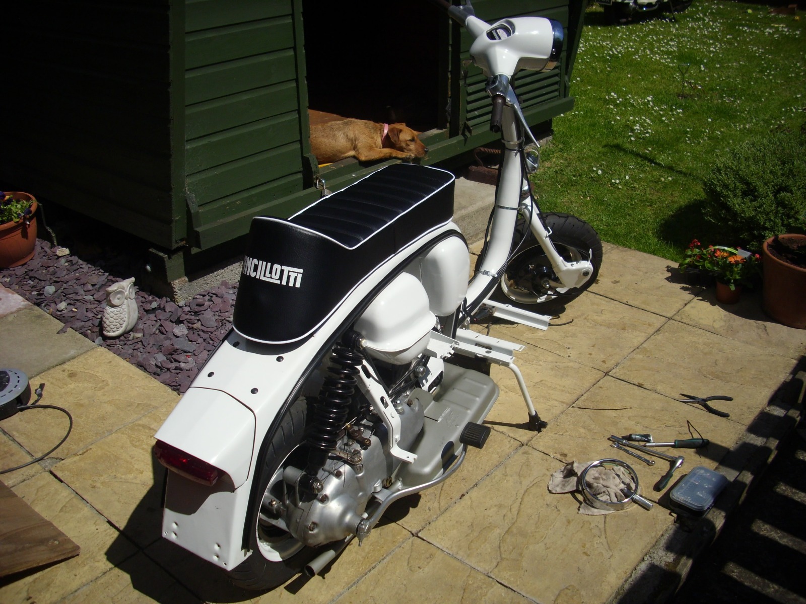 Picture 6 of 11
