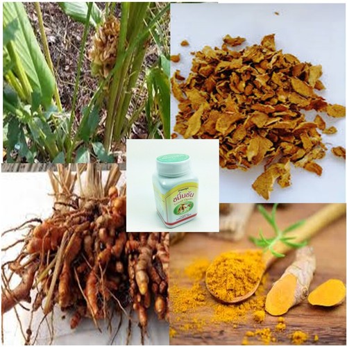 Turmarics Clove Thai Healthy herb Flatulence Indigestion Expel Detox Antioxidant - Picture 6 of 7