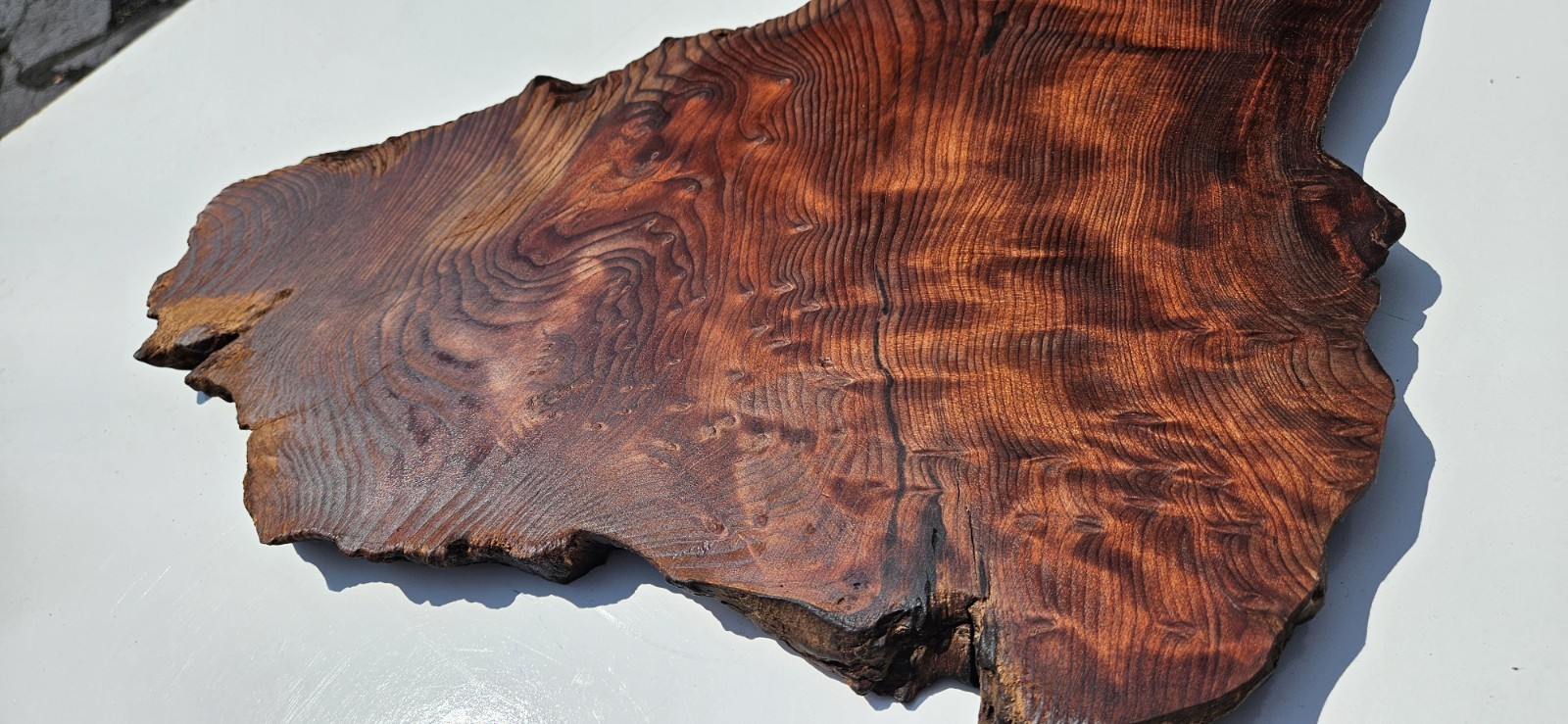 Old Growth Redwood root live edge slab, burned edges. charcuterie board, art