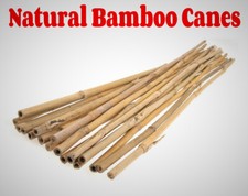 10 Packs 4FT Natural Bamboo Canes Garden Flower Trellis Pole Plant Support Fence
