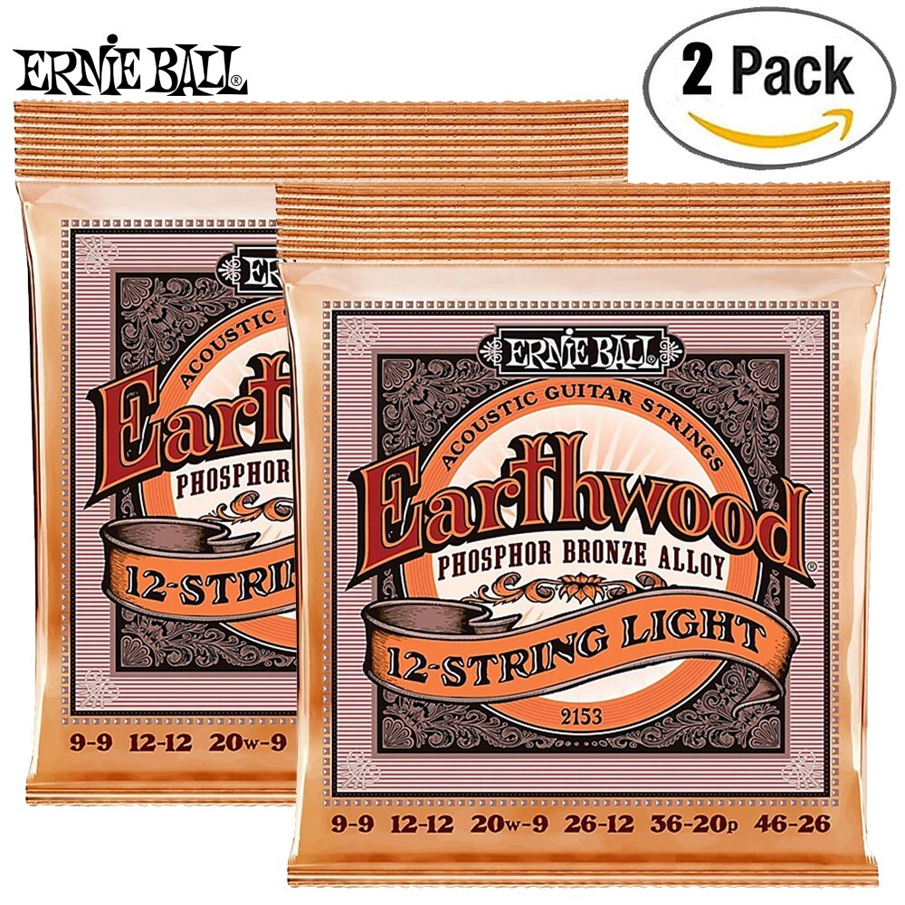 earthwood 12 string