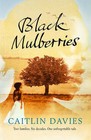 Black Mulberries by Caitlin Davies (Paperback, 2008)