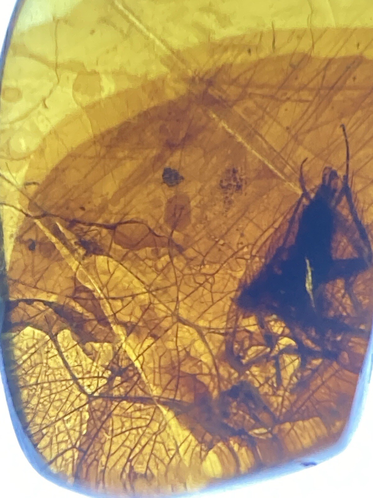 Picture 3 of 8