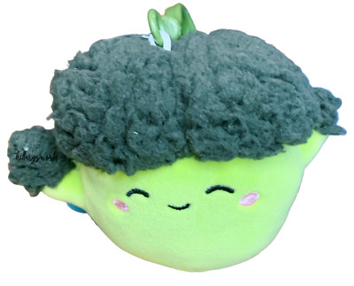 Squishmallows Nash The Broccoli 3.5'' Plush Clip-On Keychain, Specialty Veggie