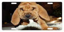 BLOODHOUND DOG Custom License Plate CANINE BREED Emblem PLAYING Version