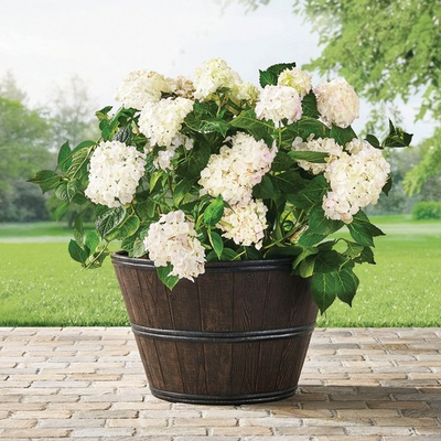 #ad Wine Barrel Planter – Rustic Wooden Outdoor amp; Indoor Garden Planter $49.00