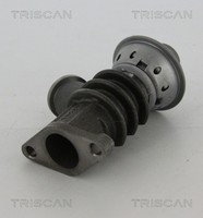 AGR Ventil Triscan 8813 28100 FüR Berlingo CitroËN Peugeot Xantia Jumpy C5 206 1