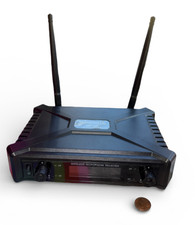 Wireless Microphone System Professional Karaoke Microphone UHF Dual Channel READ