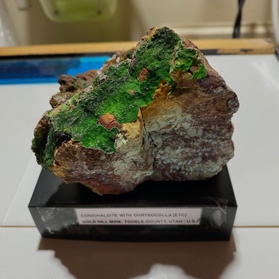 CONICHALCITE WITH CHRYSOCOLLA [ETC] : GOLD HILL MINE, TOOELE COUNTY, UTAH -U.S.A