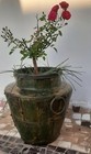 Bild 2 von 10