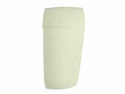 PACOL MAN-CP-019L Wind Deflector for MAN