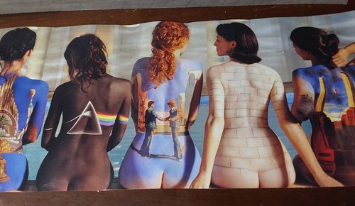 Pink Floyd Back Catalogue Classic Rock Roger Waters Damen Booty 12x36 Aquarius - Bild 3 von 6