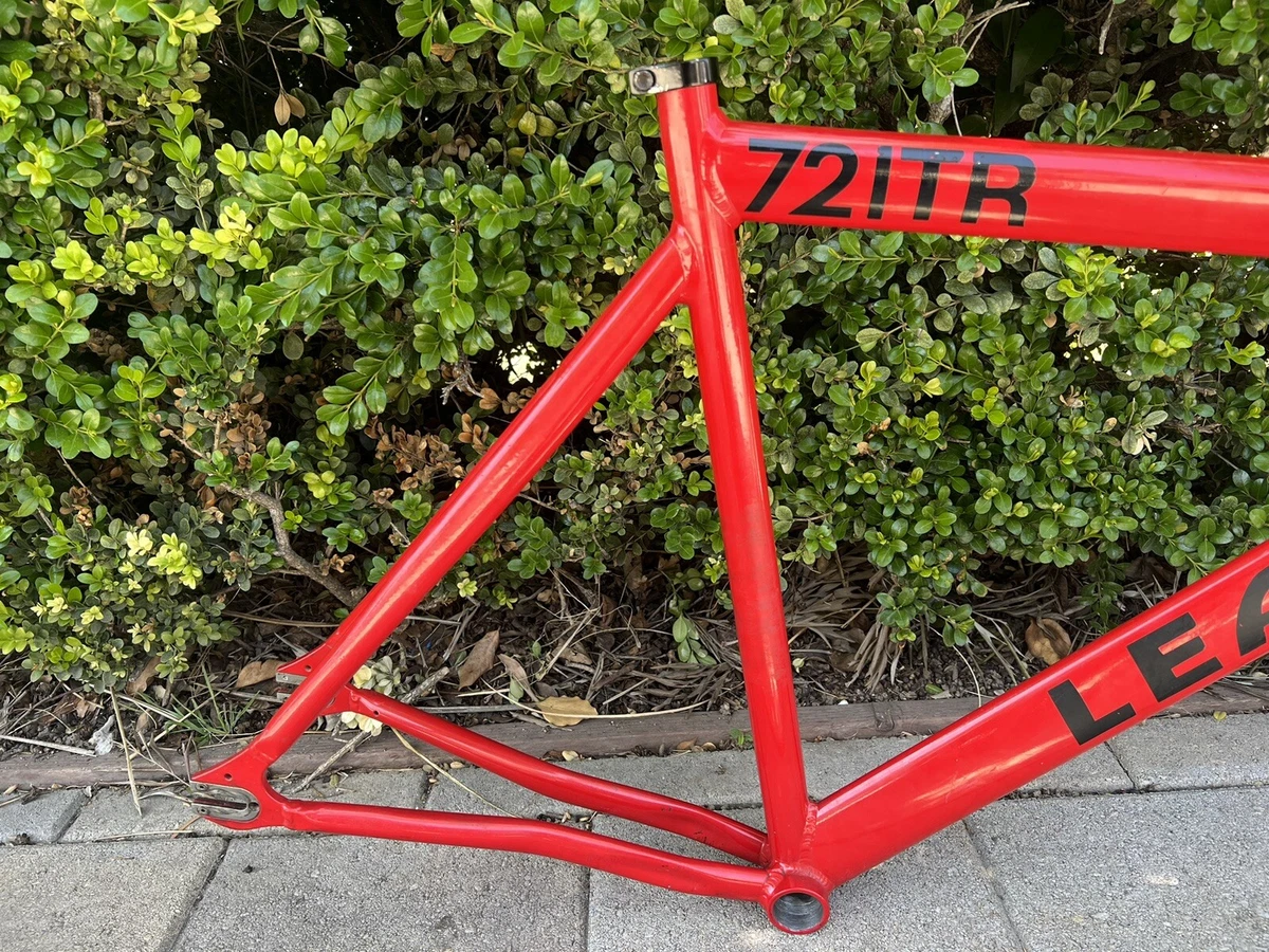 Fixies Leader