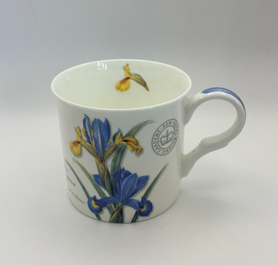 Royal Botanic Garden Kew Gardens Iris Xiphium Creative Top Bone China Becher Blume