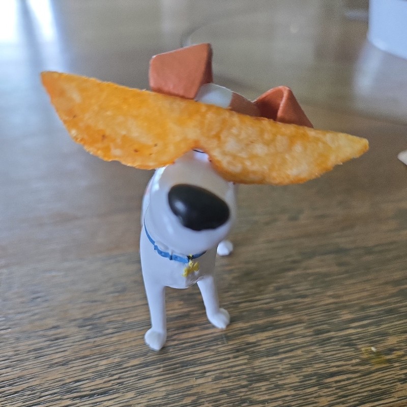 Rare 80's Retro Sunglass Shape Lay's Barbecue Chip