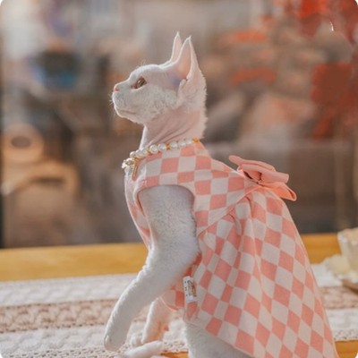 Hairless Cat Kitten Outfit British Style Dress Devon Rex Clothes