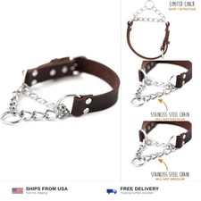 Mighty Paw Martingale Dog Collar - No Pull Design - Stainless Steel Chain - L...