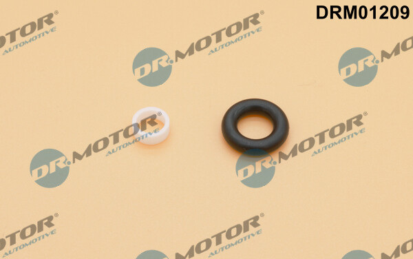 Dr.Motor Automotive DRM01209 Repair Kit, injection nozzle for AUDI,SKODA,VW