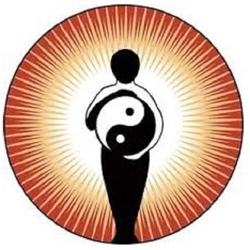 Tai Chi DVD Beginners Guide Gentle Exercise Relaxation Peace Stamina Meditation - Image 2 of 4