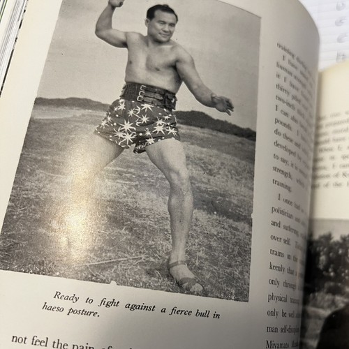 Karate Vintage MAs Oyama Kyokushin Bull Kill Brick Break Martial Art Japan - Foto 23 di 24