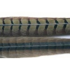 Fly Tying Feathers, Cock Pheasant Centre Tails, Choice of colours, Fly Tying