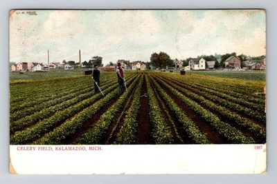#ad Kalamazoo MI Michigan Celery Field Two Field Hands c1907 Vintage Postcard $0.99