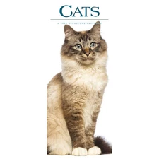 Carousel Calendars,  Cats Vertical 2026 Wall Calendar by Gladstone Media, 12'' X