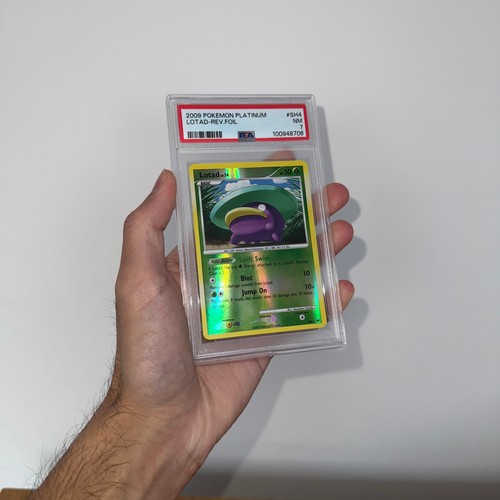 Lotad graded PSA 7 for sale on eBay