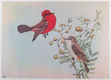 Rex Brasher Bird Print, Vermillion Flycatcher, 16x12 in.