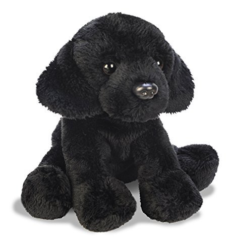 black dog teddy bear