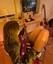 highqualityguitar
