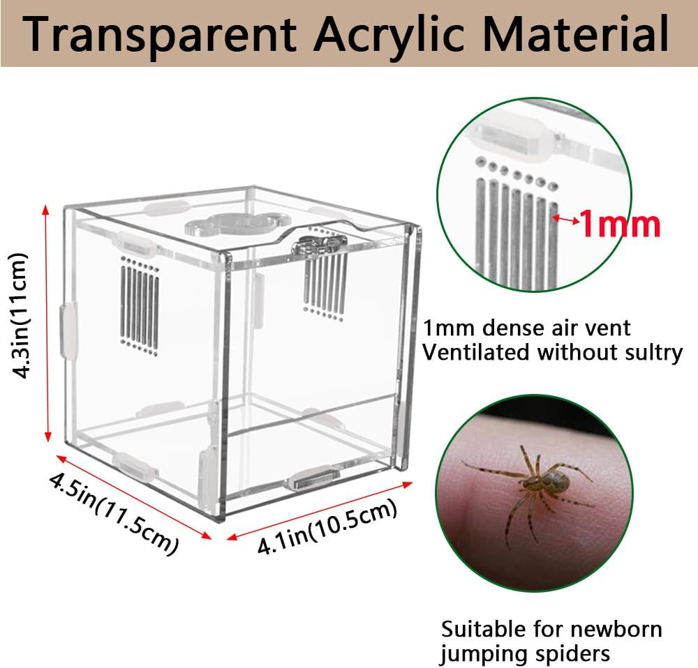 Acrylic Jumping Spider Enclosure, Small Reptile Terrarium Habitat for