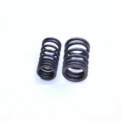 K157FMI Valve Springs Kit for Chreidler Supermoto 125 DD QM125GY-2B