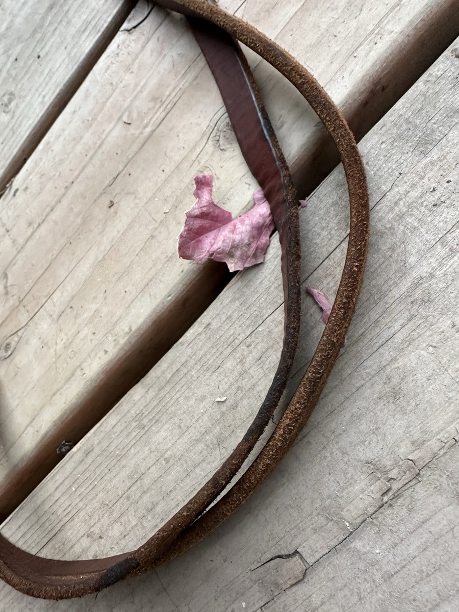 Rênes De Trail Western En Cuir – Pony Tack, 5/8, Couleur Marron (occasion)