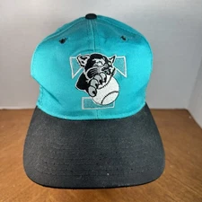 Vintage 90's Tyler Wildcatters MILB Independent TX-LA Lg Snapback Baseball Hat