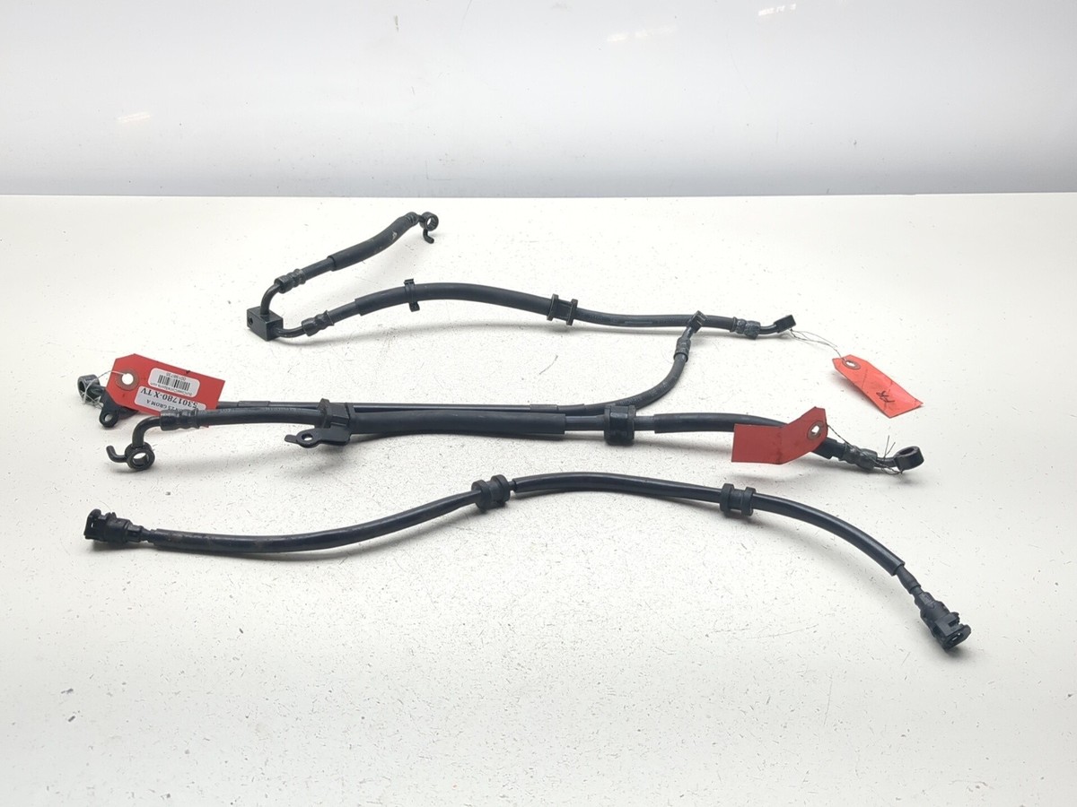 21-25 Honda Grom MSX125 Front & Rear Brake Hoses with Fuel Line