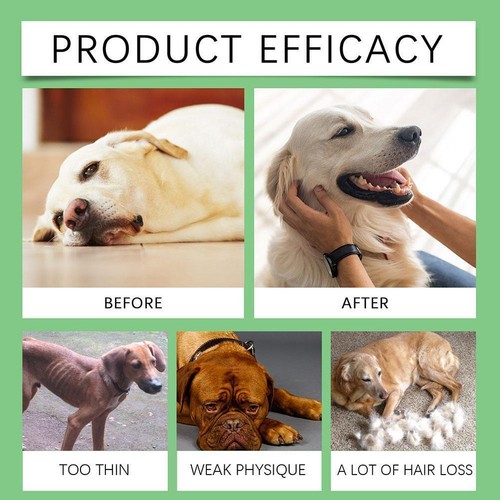 Gocce integrative antibiotiche naturali per gatti e cani, energizzanti, 60 U9I2 - Foto 12 di 15