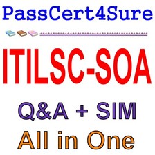 Examen ITIL Ofertas Y Acuerdos ITILSC-SOA Q&A+SIM